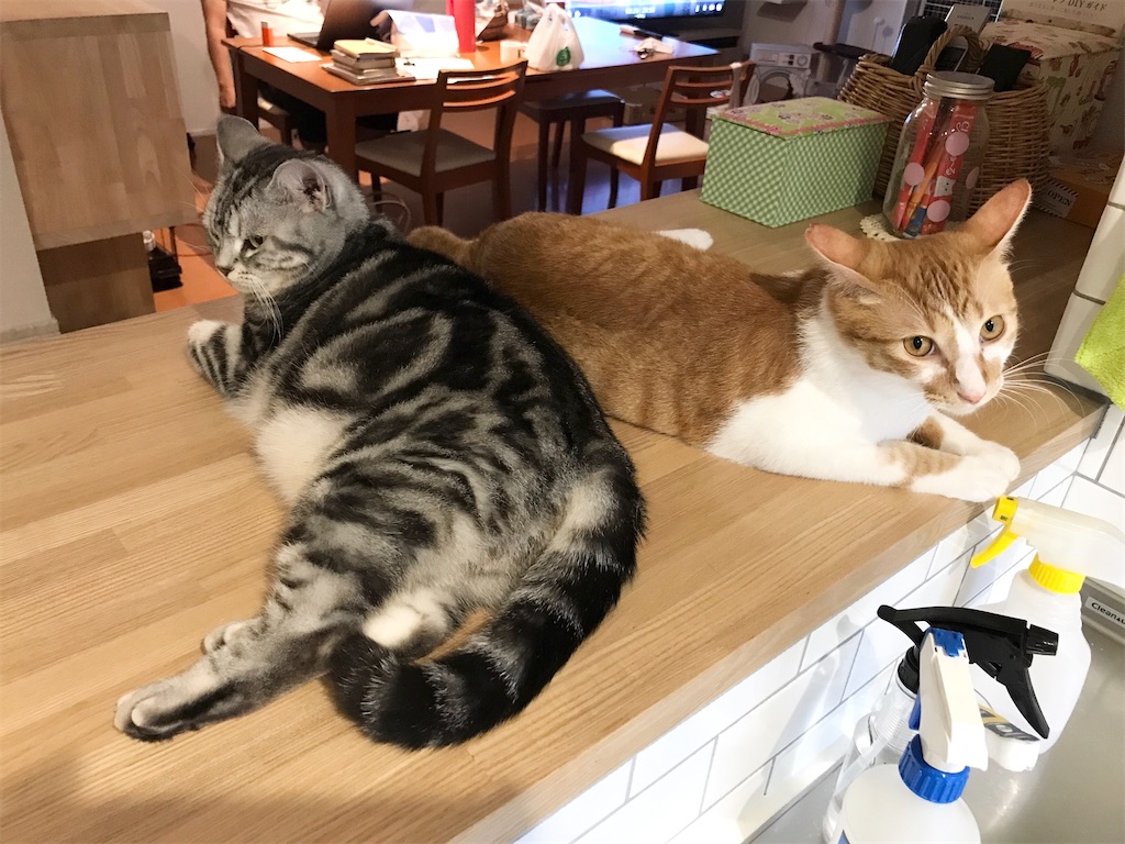 f:id:tsukky8832534:20210920004202j:image f:id:tsukky8832534:20210920004202j:image