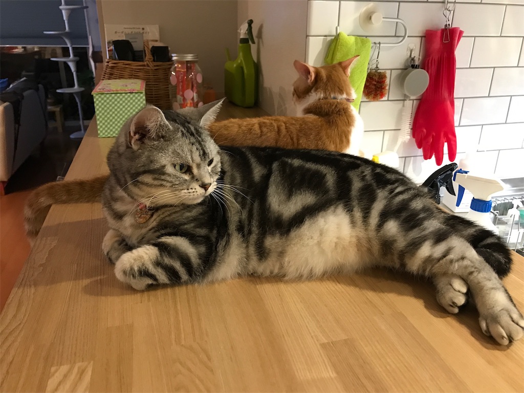 f:id:tsukky8832534:20210920004205j:image f:id:tsukky8832534:20210920004205j:image