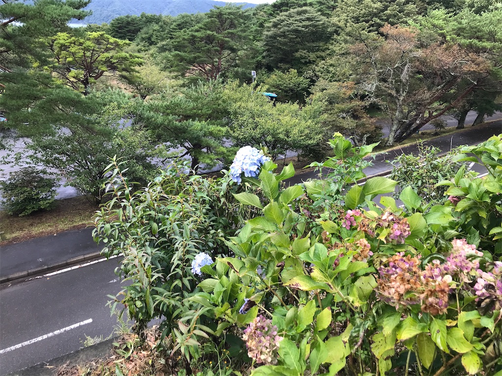 f:id:tsukky8832534:20210922223501j:image