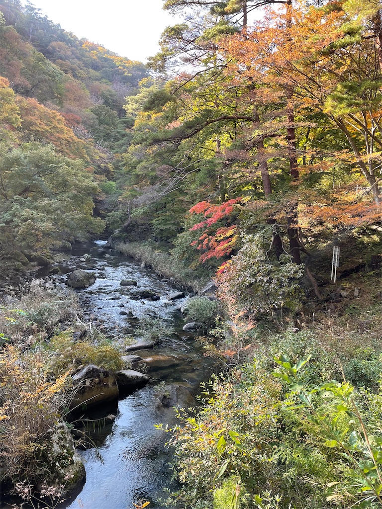 f:id:tsukky8832534:20211103232103j:image f:id:tsukky8832534:20211103232103j:image