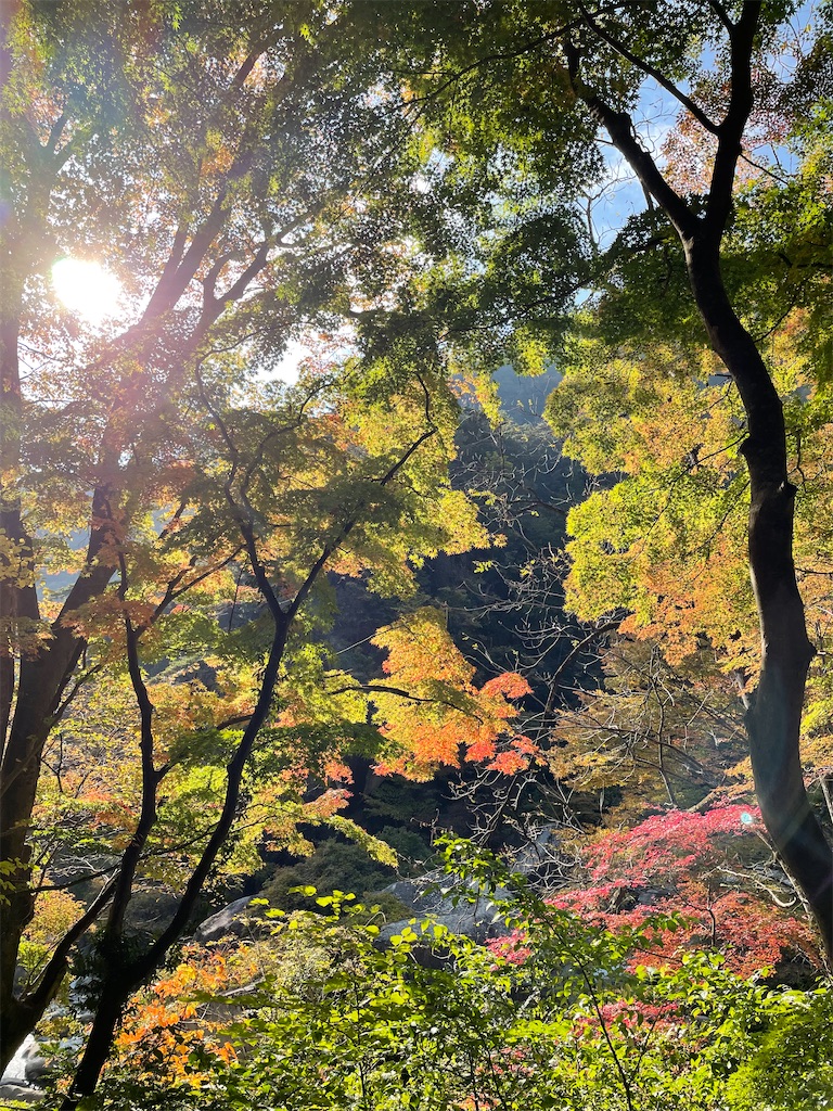 f:id:tsukky8832534:20211103232117j:image f:id:tsukky8832534:20211103232117j:image