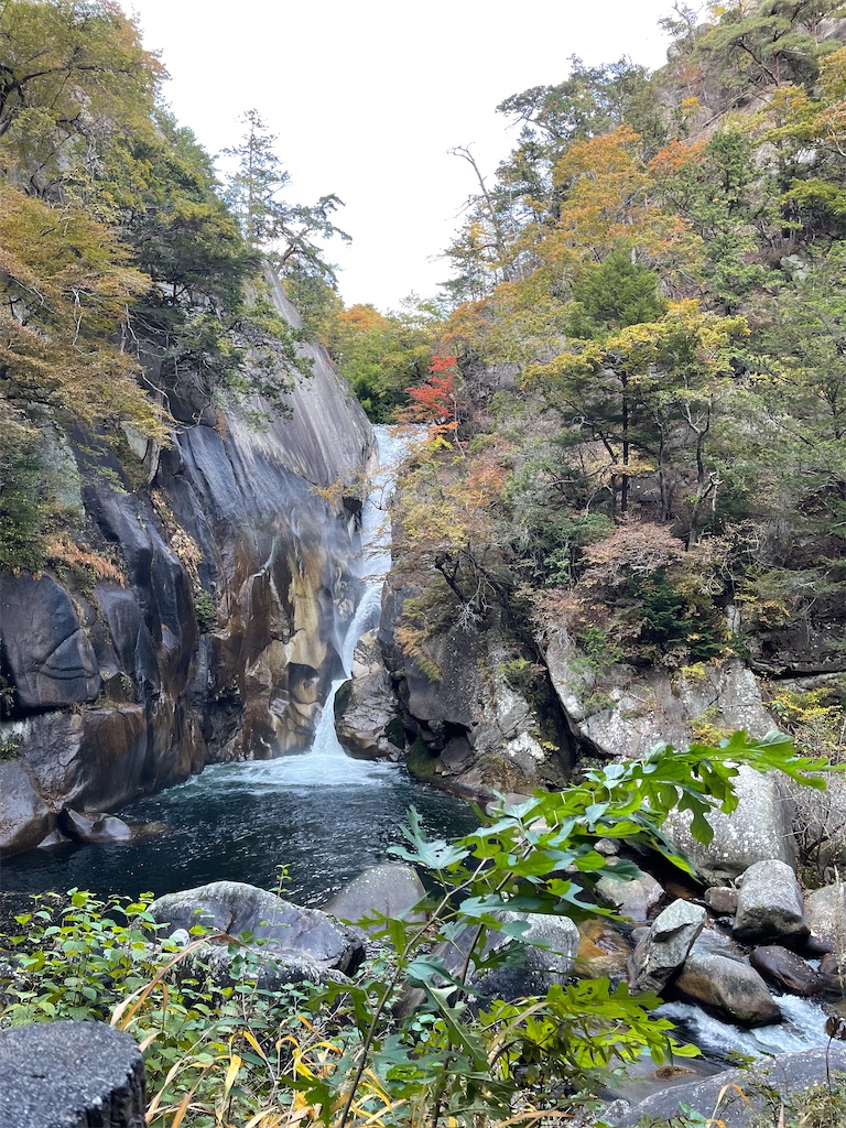 f:id:tsukky8832534:20211103232124j:image f:id:tsukky8832534:20211103232124j:image