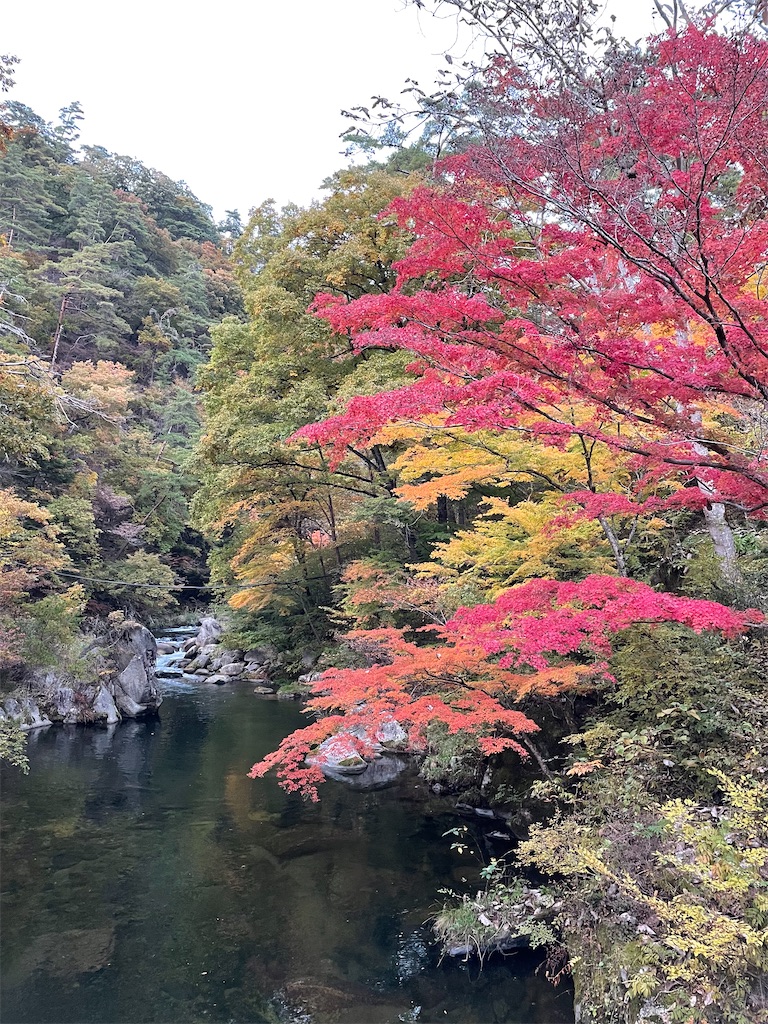 f:id:tsukky8832534:20211103232144j:image f:id:tsukky8832534:20211103232144j:image