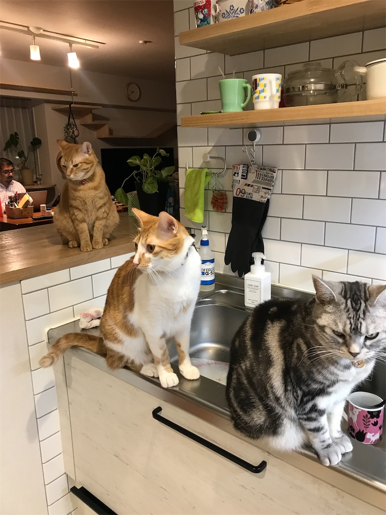 f:id:tsukky8832534:20211111023444j:image