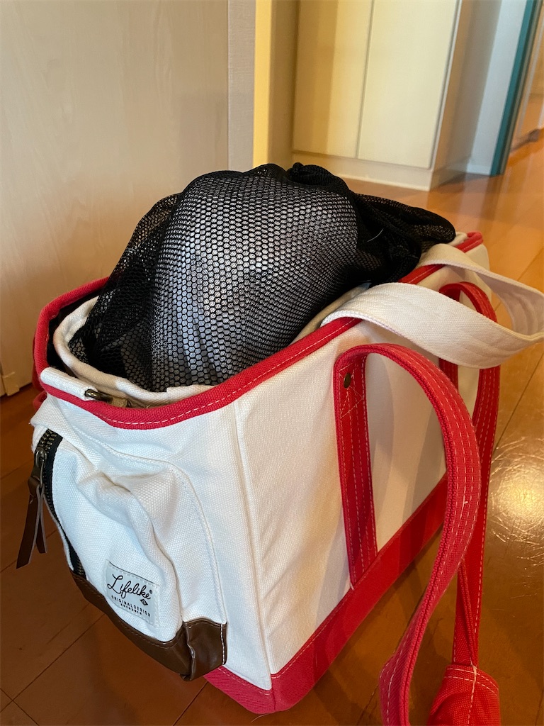 f:id:tsukky8832534:20211120235231j:image