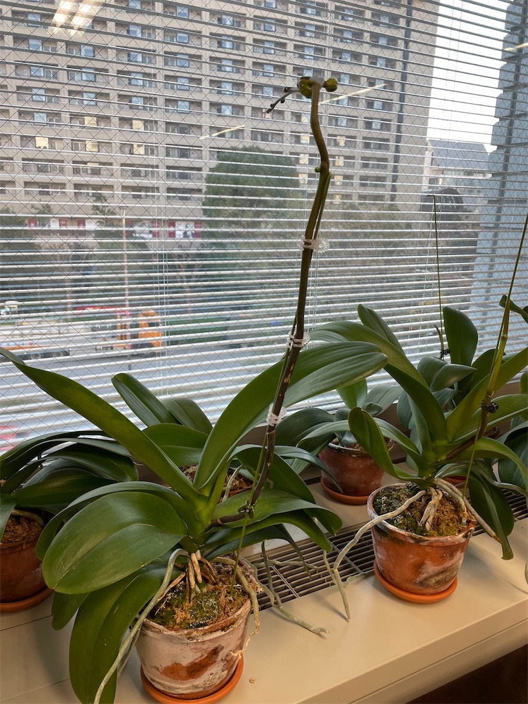 f:id:tsukky8832534:20220121233724j:image f:id:tsukky8832534:20220121233724j:image