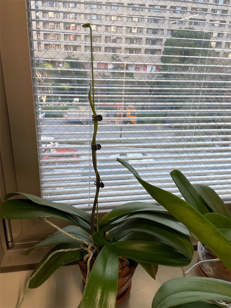 f:id:tsukky8832534:20220121233733j:image f:id:tsukky8832534:20220121233733j:image