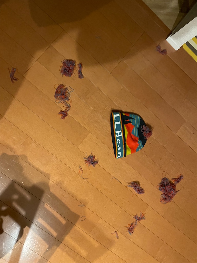 f:id:tsukky8832534:20220125235551j:image f:id:tsukky8832534:20220125235551j:image