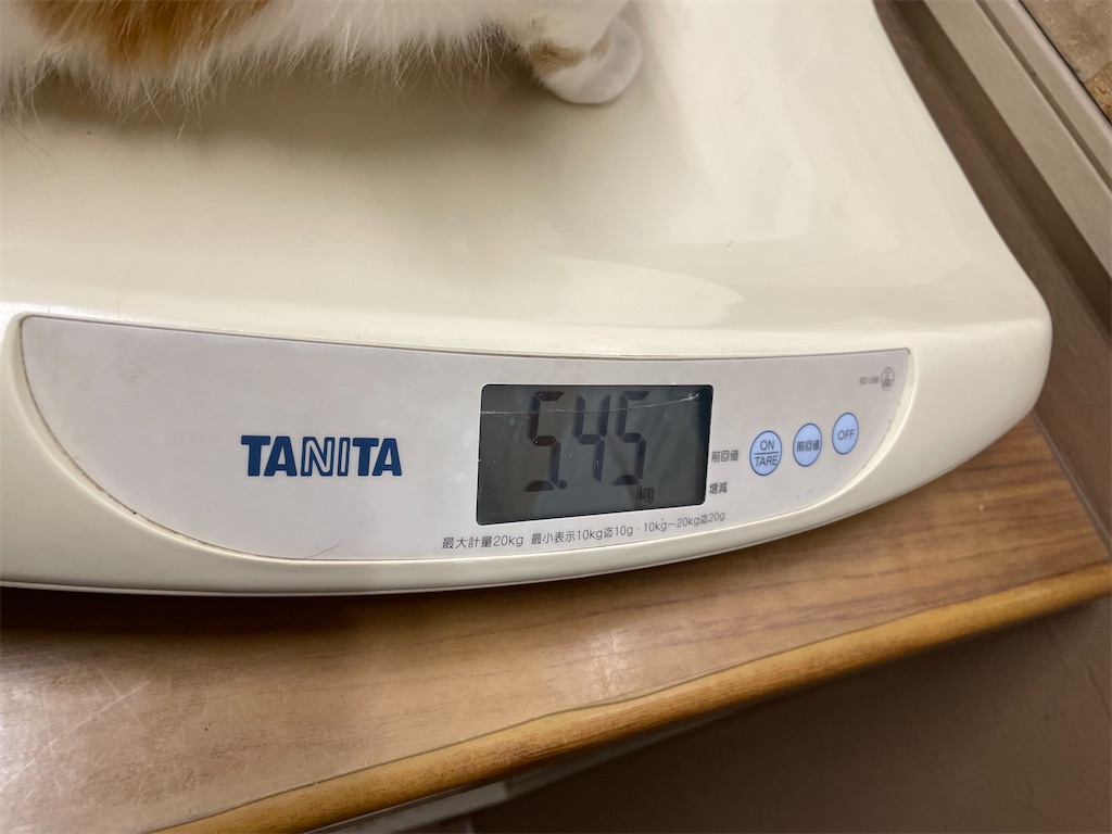 f:id:tsukky8832534:20220212002802j:image f:id:tsukky8832534:20220212002802j:image