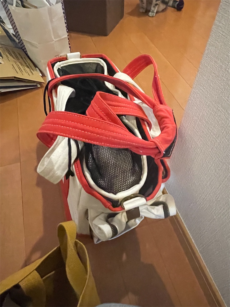 f:id:tsukky8832534:20220212002839j:image f:id:tsukky8832534:20220212002839j:image