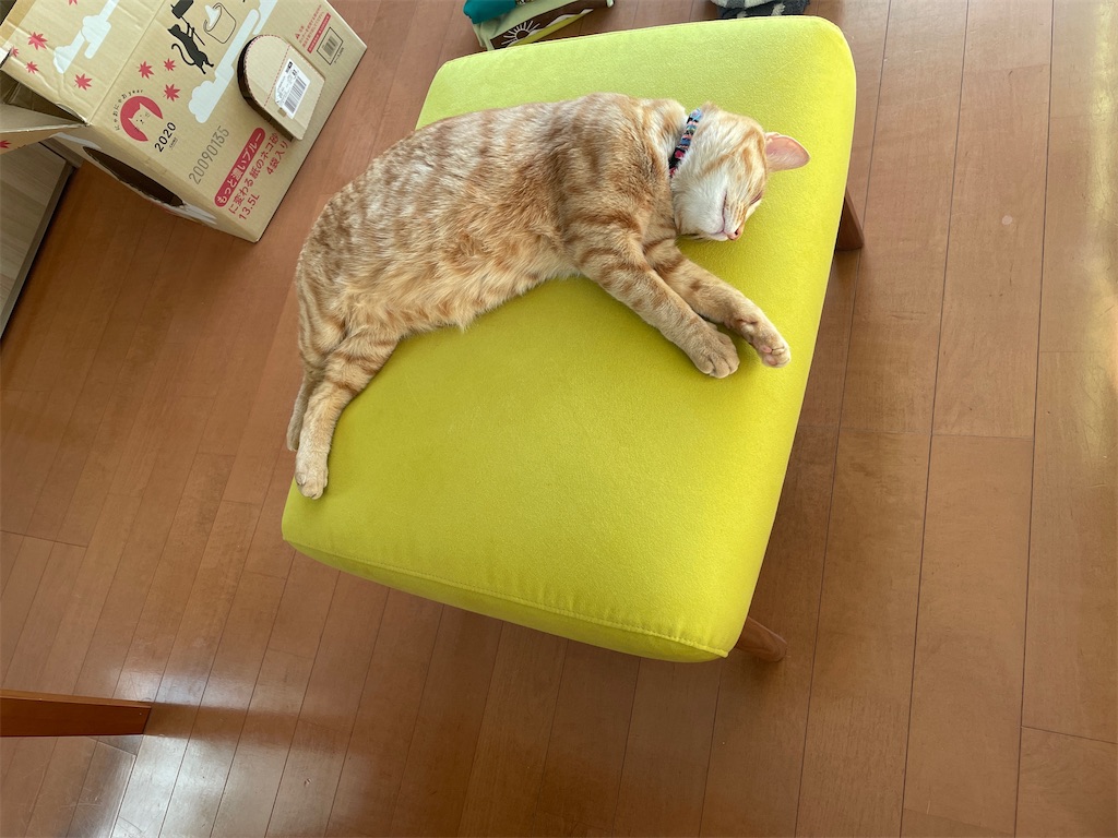 f:id:tsukky8832534:20220226011303j:image f:id:tsukky8832534:20220226011303j:image