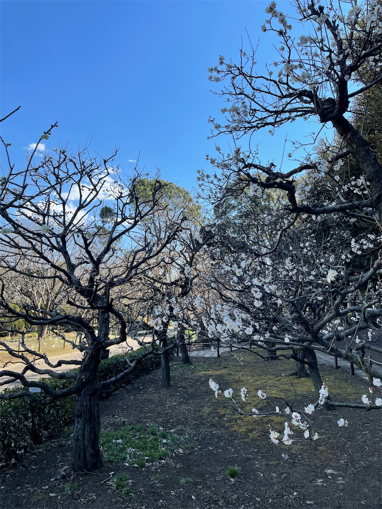 f:id:tsukky8832534:20220227235935j:image f:id:tsukky8832534:20220227235935j:image