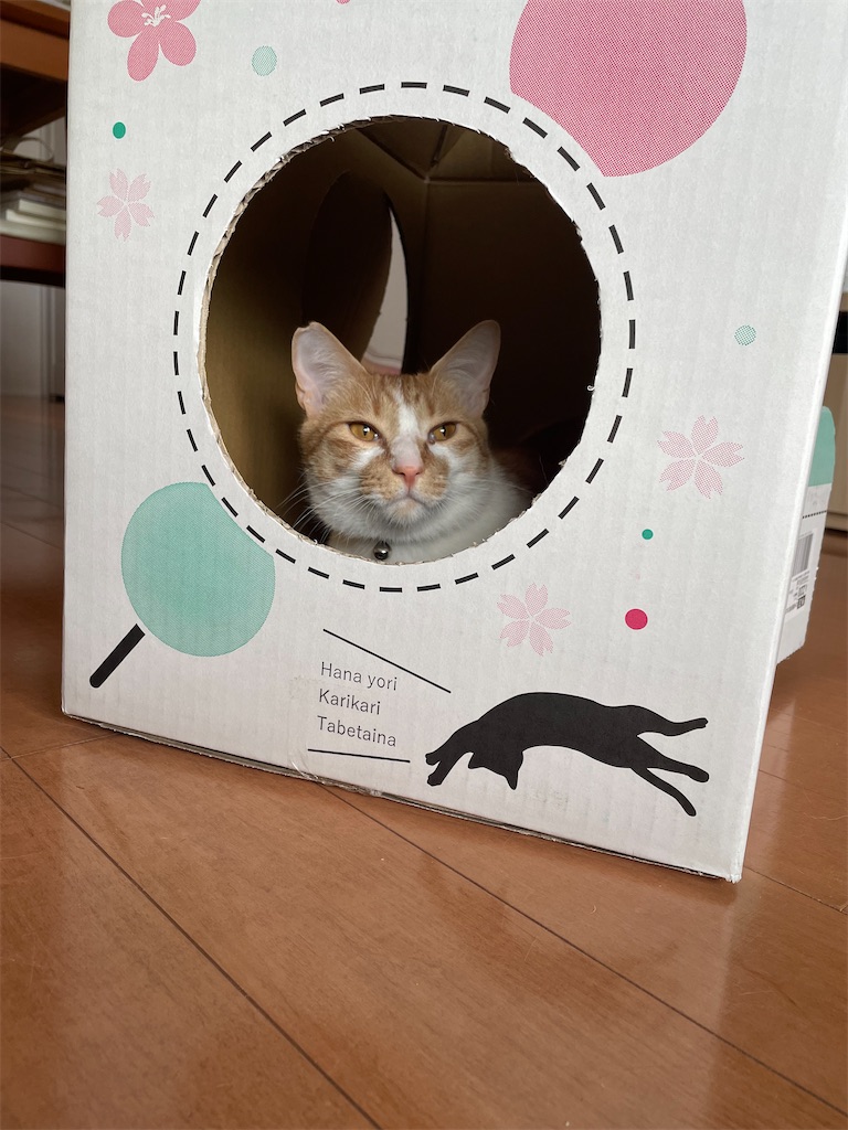 f:id:tsukky8832534:20220320233320j:image f:id:tsukky8832534:20220320233320j:image