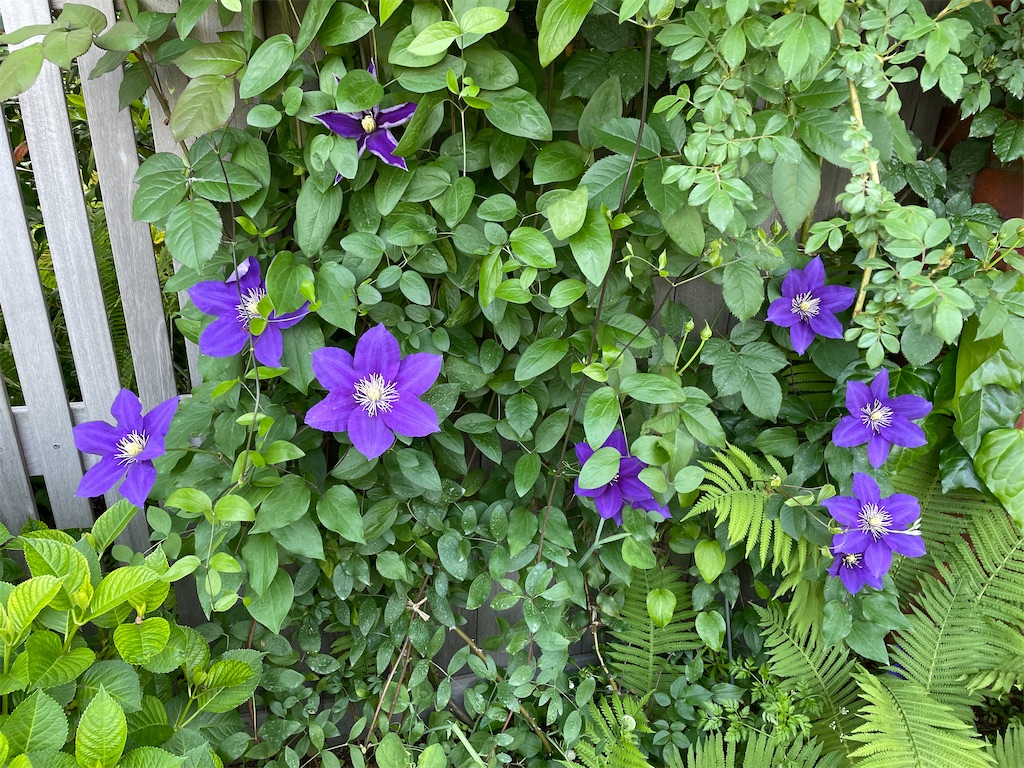 f:id:tsukky8832534:20220501002213j:image f:id:tsukky8832534:20220501002213j:image