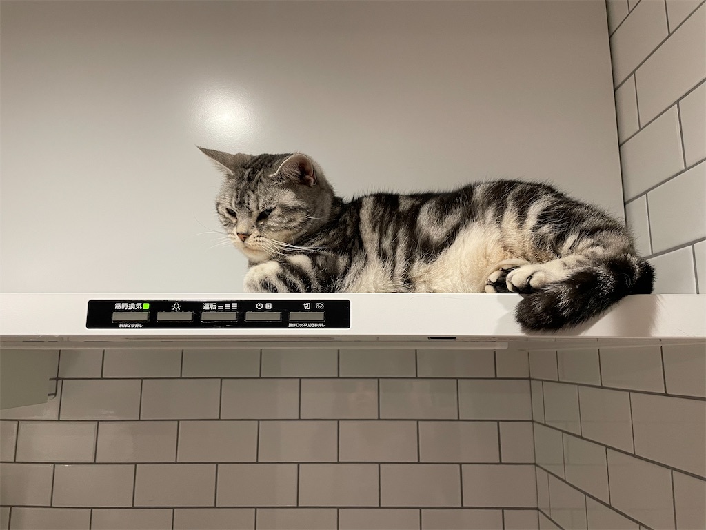 f:id:tsukky8832534:20220512003621j:image f:id:tsukky8832534:20220512003621j:image