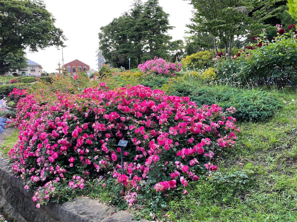 f:id:tsukky8832534:20220522212201j:image f:id:tsukky8832534:20220522212201j:image