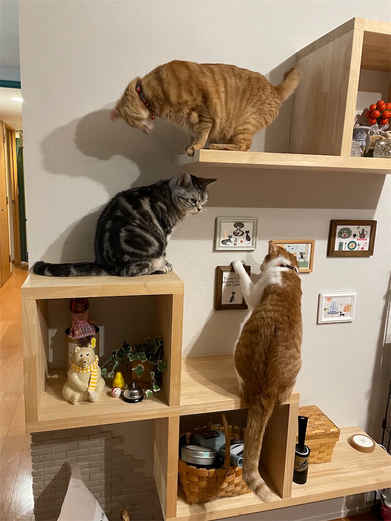 f:id:tsukky8832534:20220628002507j:image