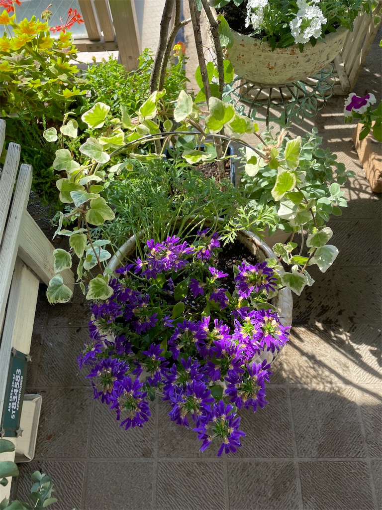 f:id:tsukky8832534:20220628002516j:image