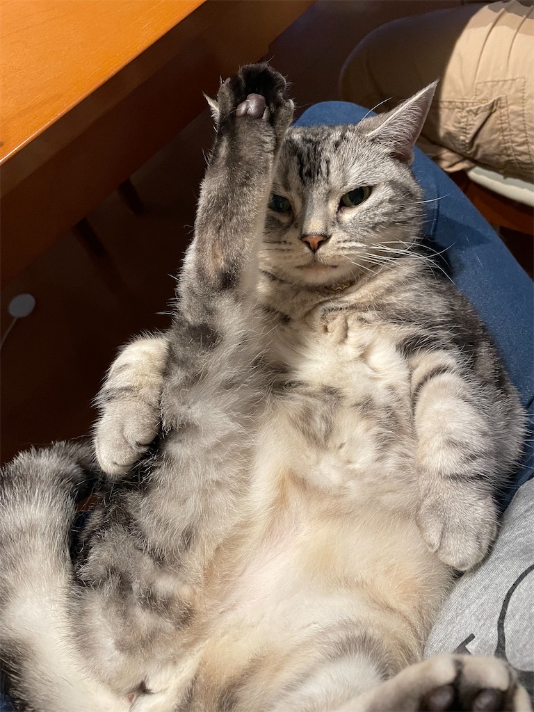 f:id:tsukky8832534:20220628233444j:image f:id:tsukky8832534:20220628233444j:image