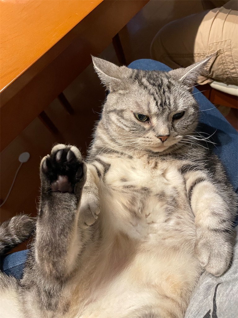 f:id:tsukky8832534:20220628233454j:image f:id:tsukky8832534:20220628233454j:image