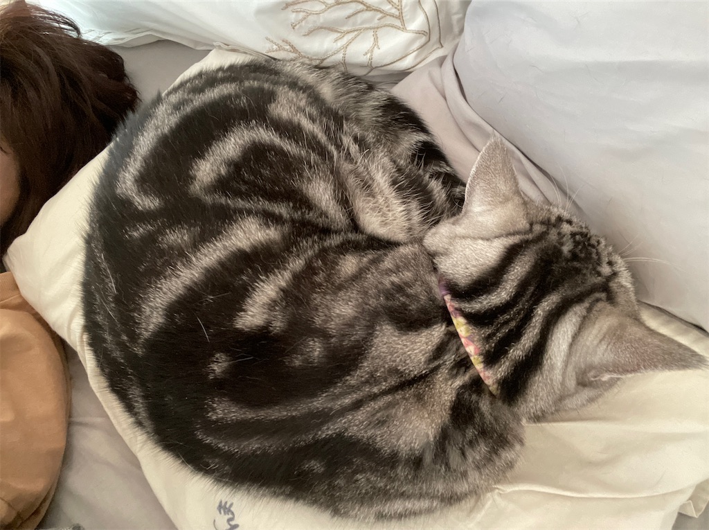 f:id:tsukky8832534:20220702002003j:image