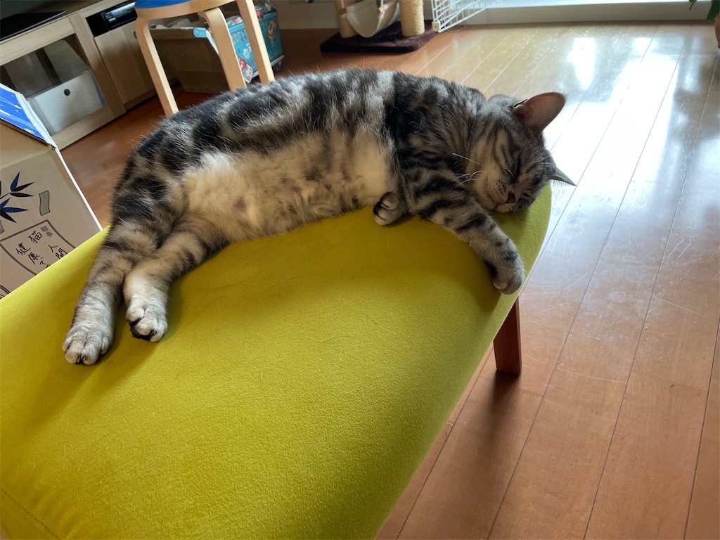 f:id:tsukky8832534:20220714010250j:image