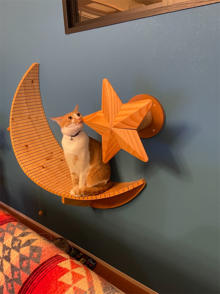 f:id:tsukky8832534:20220721233254j:image f:id:tsukky8832534:20220721233254j:image