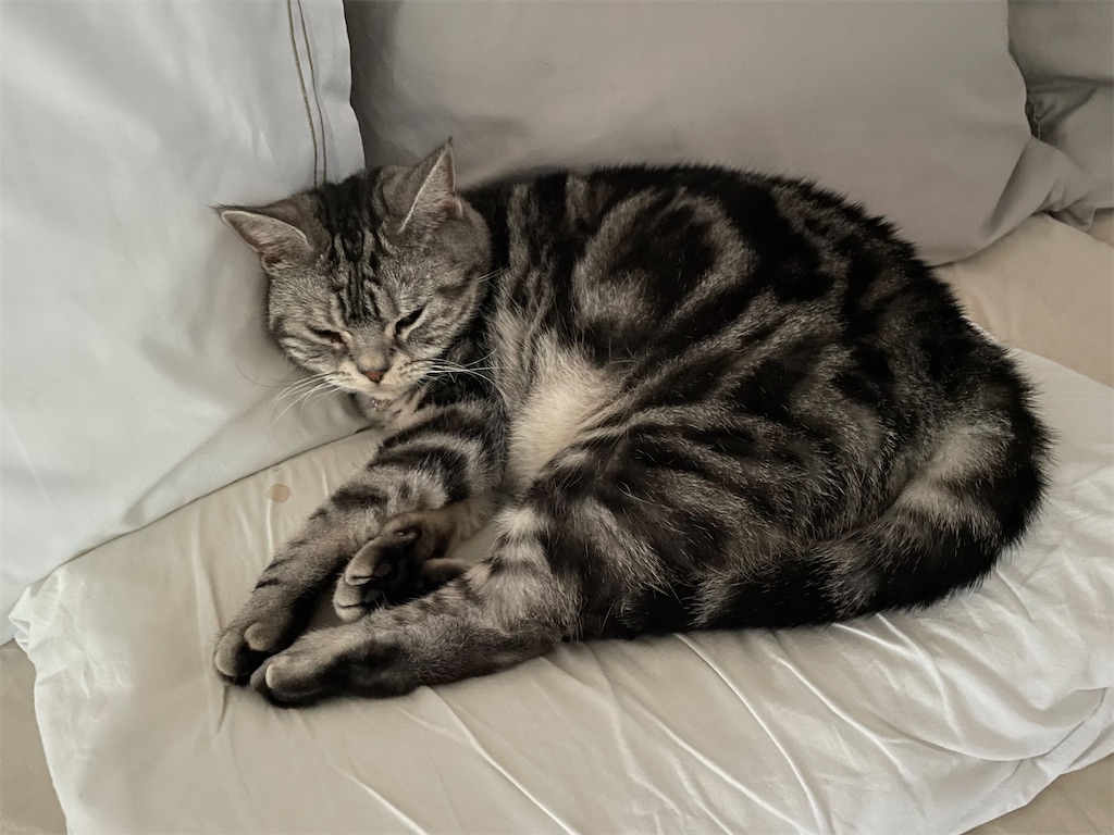 f:id:tsukky8832534:20220830232932j:image f:id:tsukky8832534:20220830232932j:image