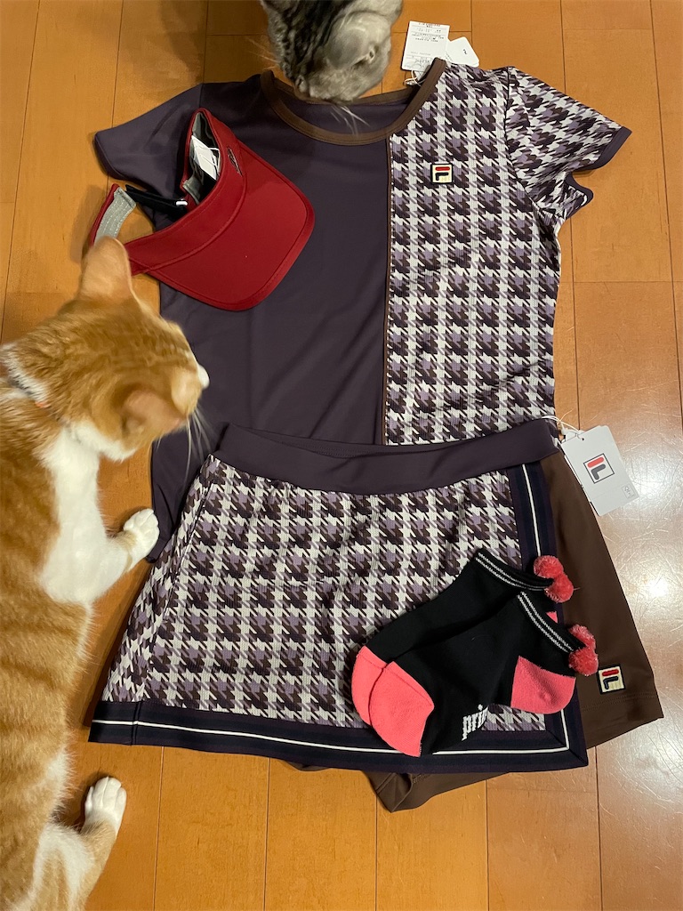 f:id:tsukky8832534:20220904233928j:image