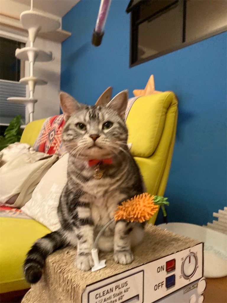 f:id:tsukky8832534:20220921002325j:image f:id:tsukky8832534:20220921002325j:image