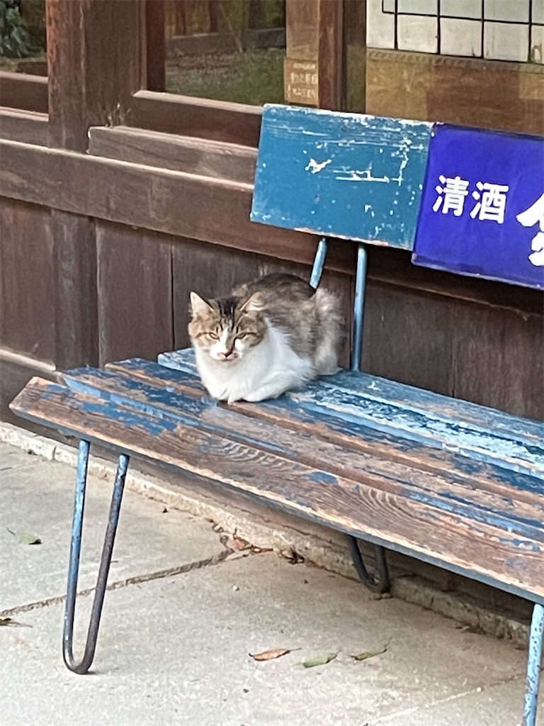 f:id:tsukky8832534:20220921002416j:image f:id:tsukky8832534:20220921002416j:image