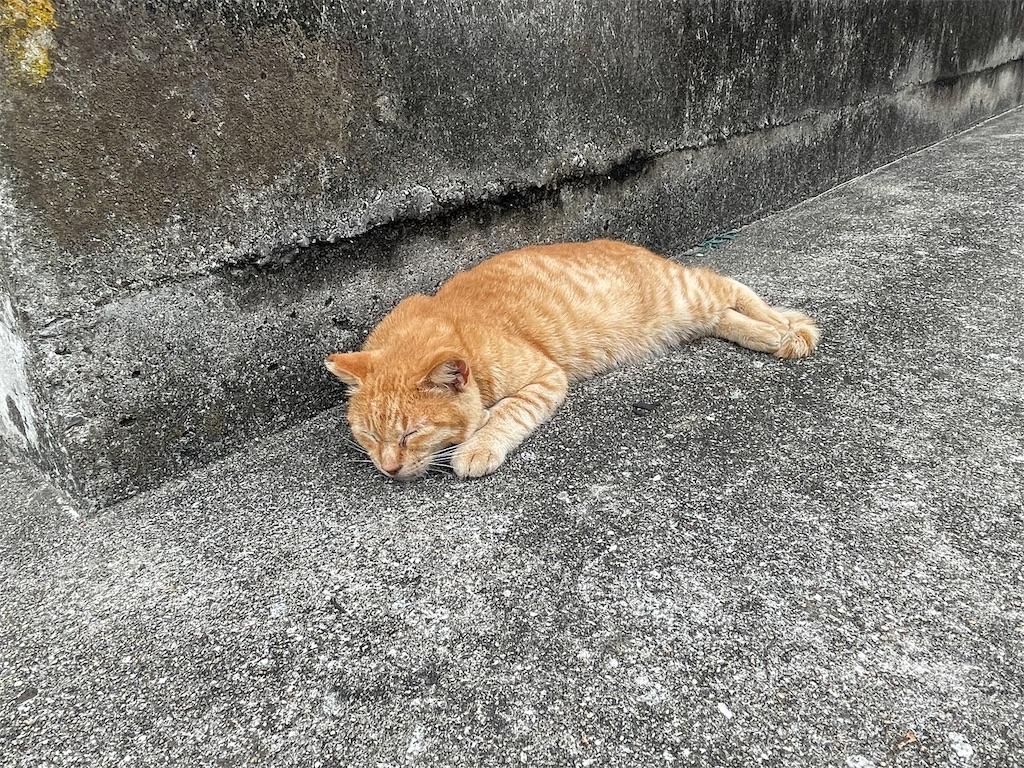 f:id:tsukky8832534:20220921234343j:image f:id:tsukky8832534:20220921234343j:image