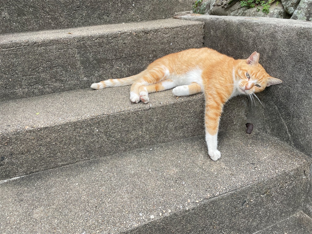 f:id:tsukky8832534:20220921234349j:image f:id:tsukky8832534:20220921234349j:image