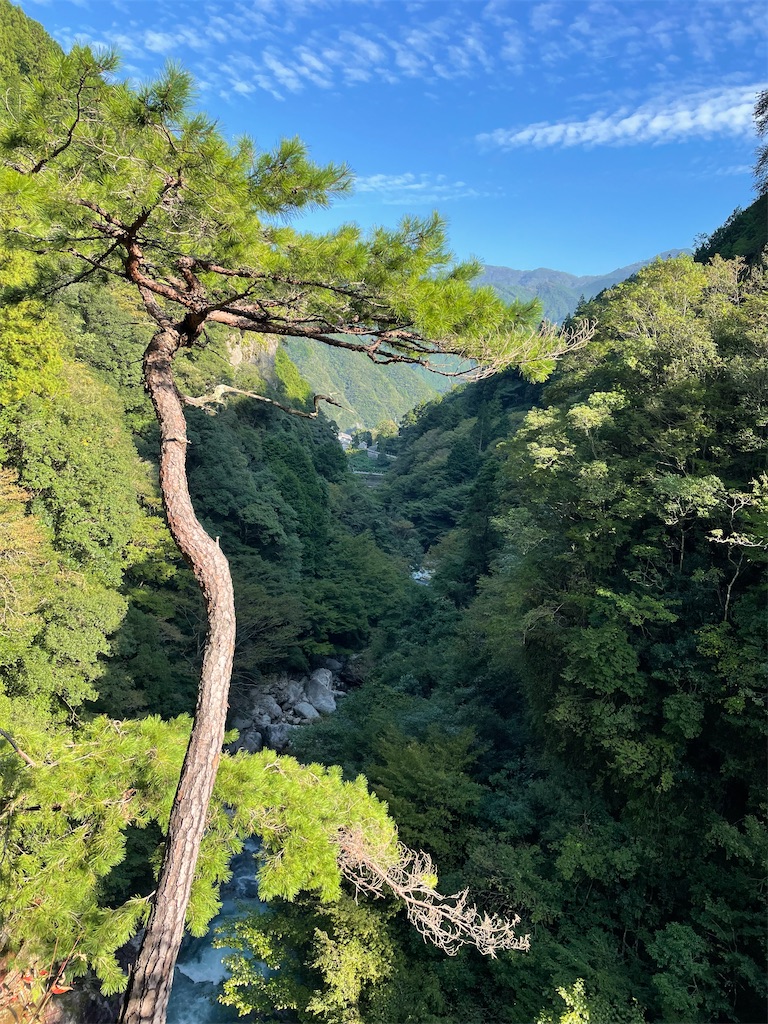 f:id:tsukky8832534:20220924221612j:image