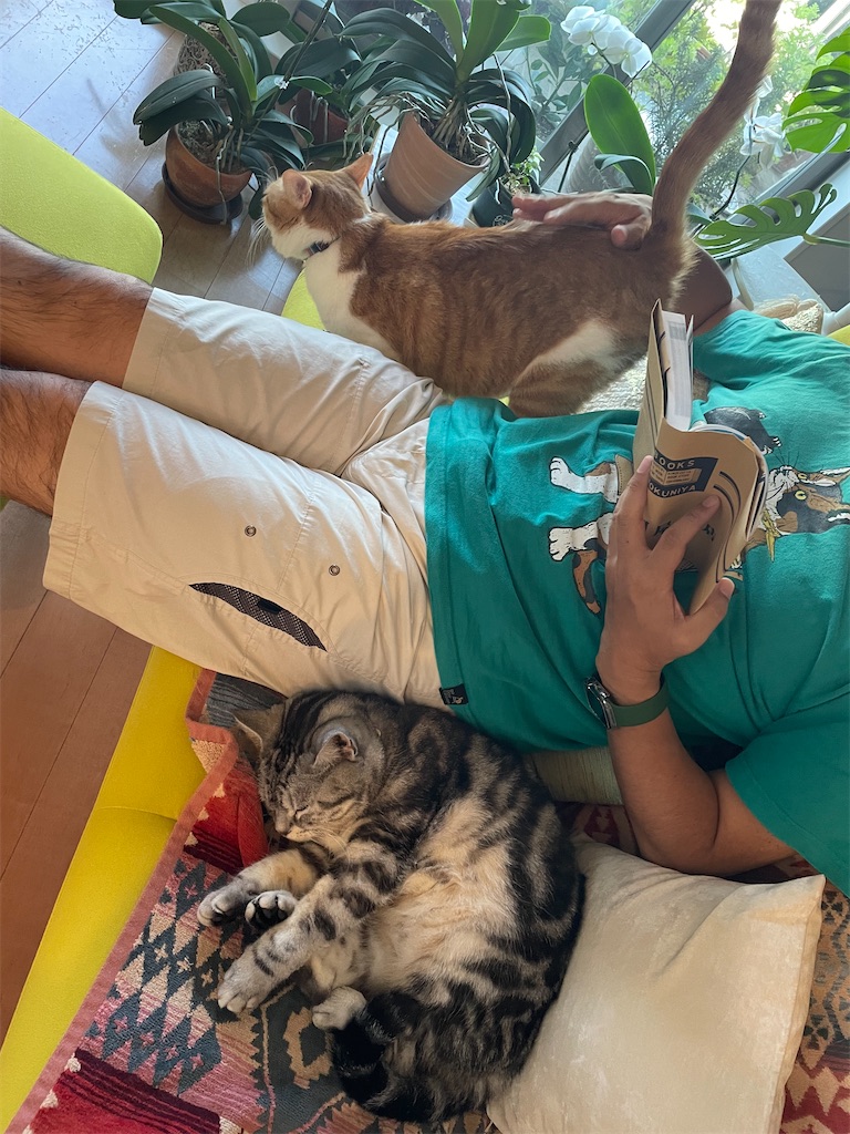 f:id:tsukky8832534:20221003000805j:image f:id:tsukky8832534:20221003000805j:image