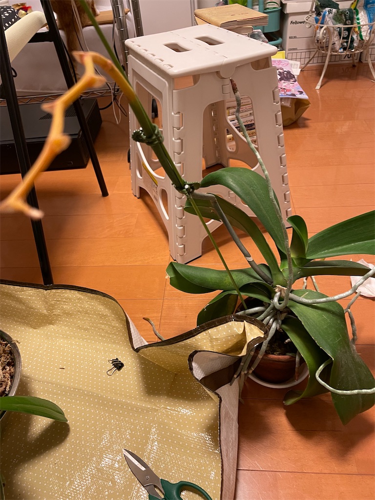 f:id:tsukky8832534:20221020001842j:image f:id:tsukky8832534:20221020001842j:image