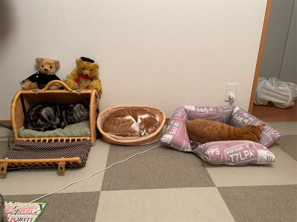 f:id:tsukky8832534:20221020001845j:image f:id:tsukky8832534:20221020001845j:image