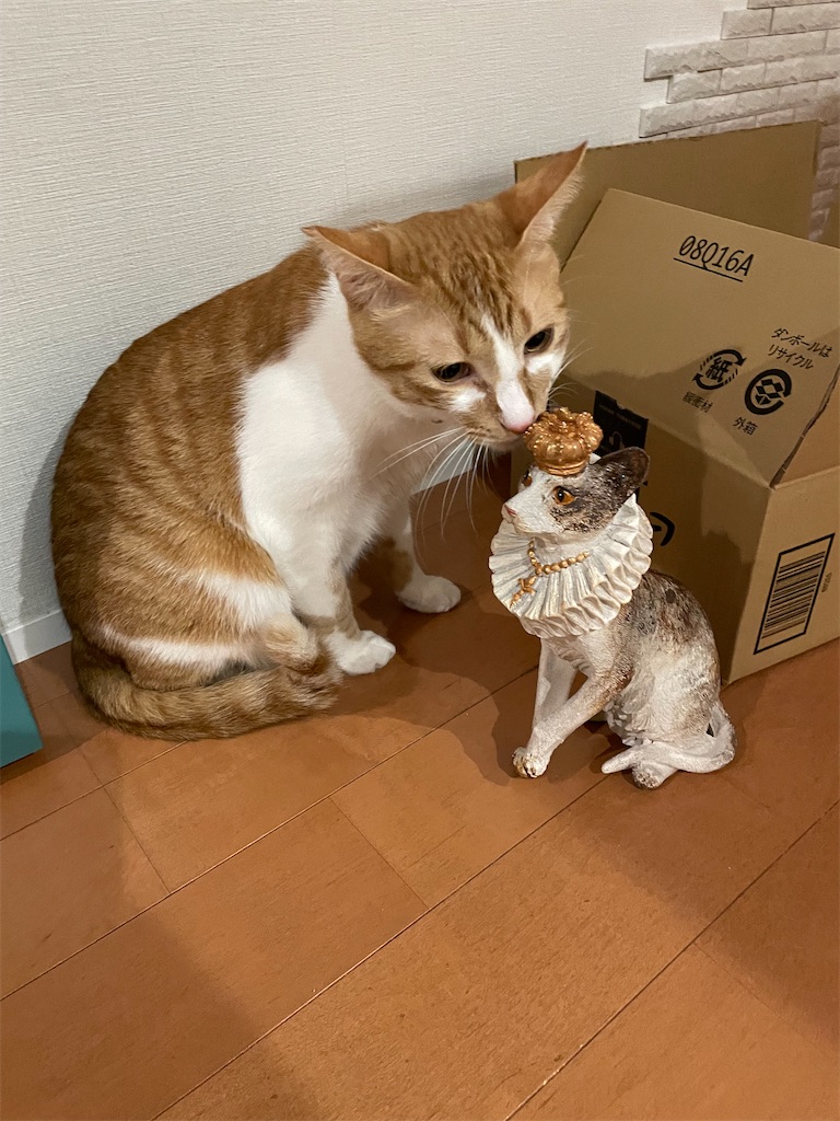 f:id:tsukky8832534:20221108003930j:image