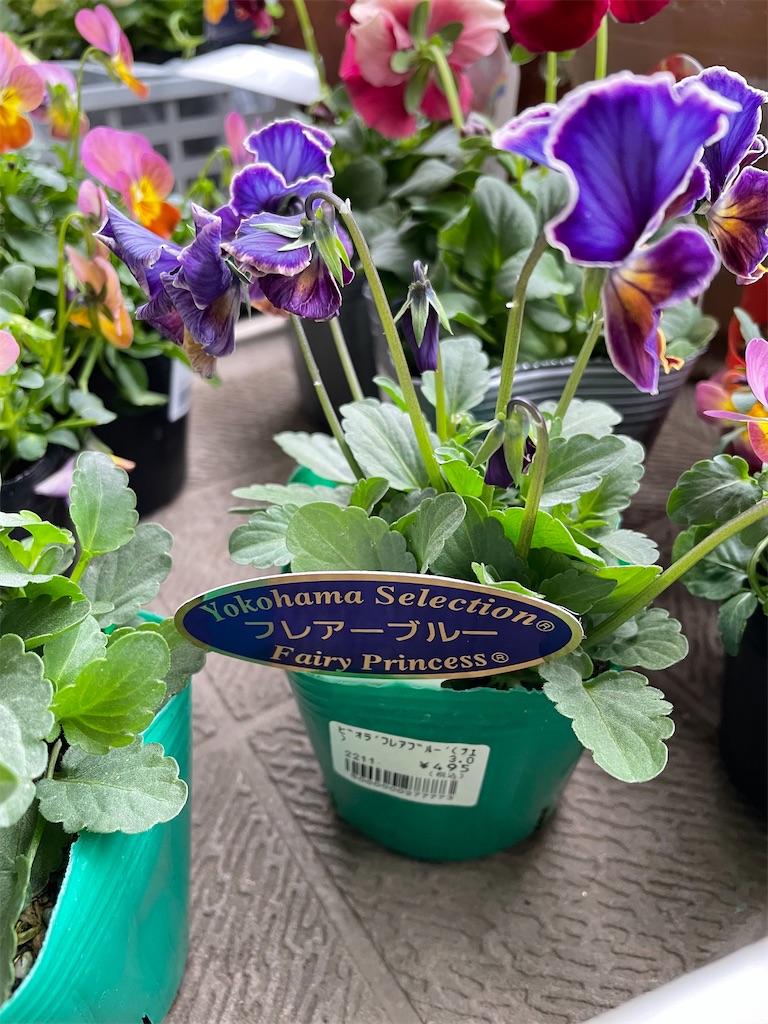 f:id:tsukky8832534:20221124000736j:image