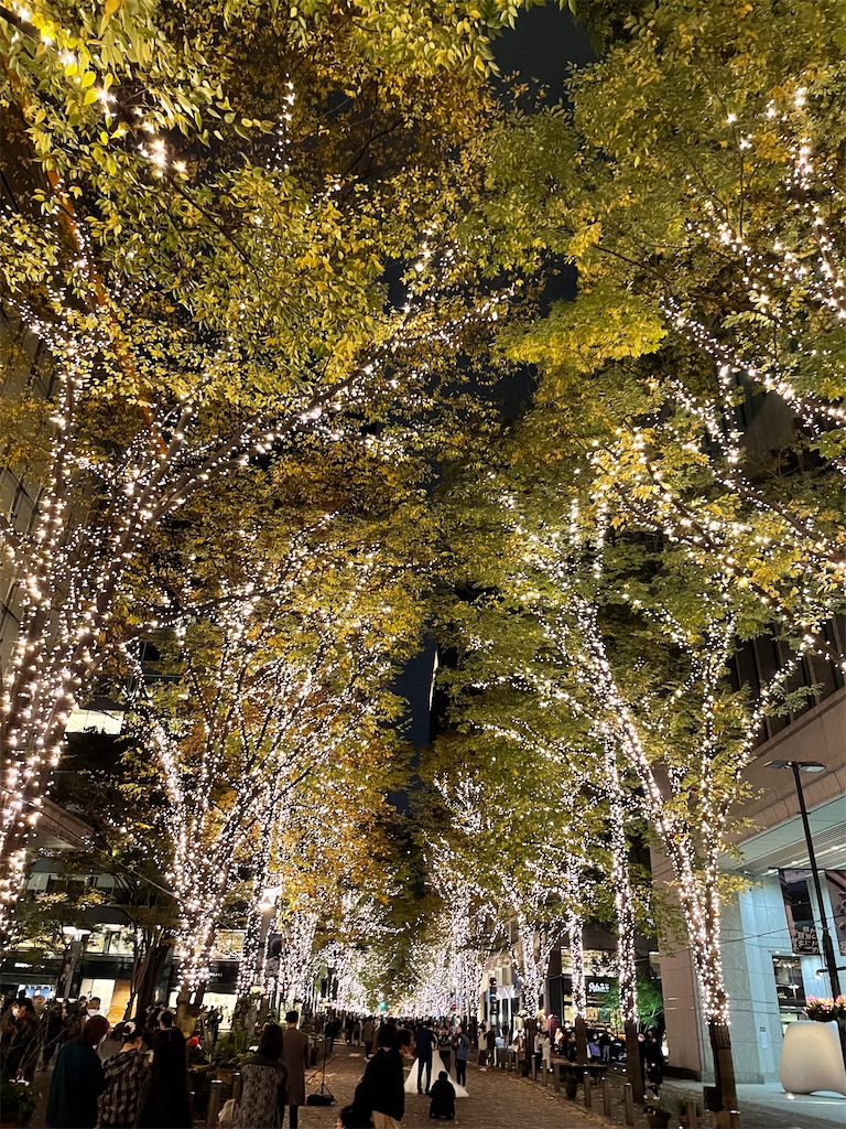 f:id:tsukky8832534:20221127010132j:image