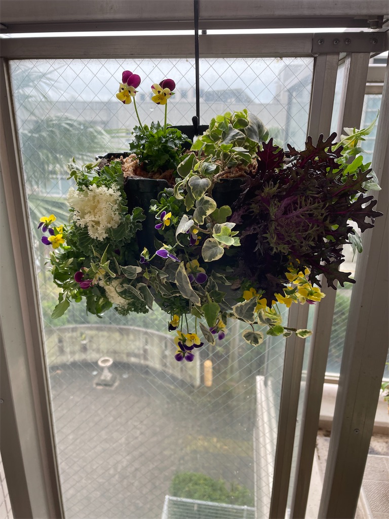 f:id:tsukky8832534:20221201065011j:image f:id:tsukky8832534:20221201065011j:image