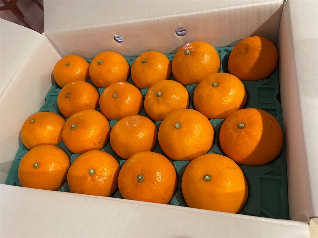 f:id:tsukky8832534:20230211023622j:image f:id:tsukky8832534:20230211023622j:image