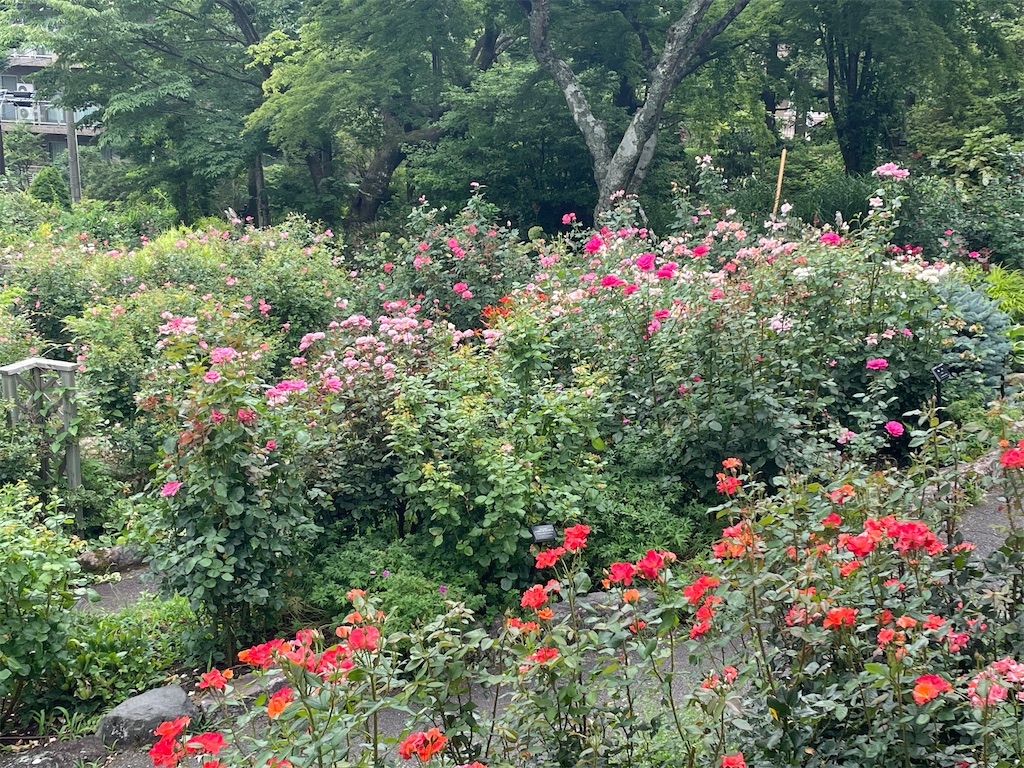 f:id:tsukky8832534:20230723092542j:image