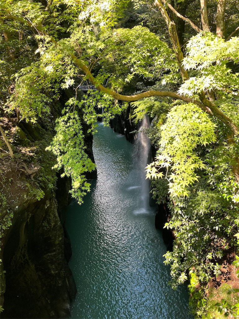 f:id:tsukky8832534:20230904005326j:image f:id:tsukky8832534:20230904005326j:image