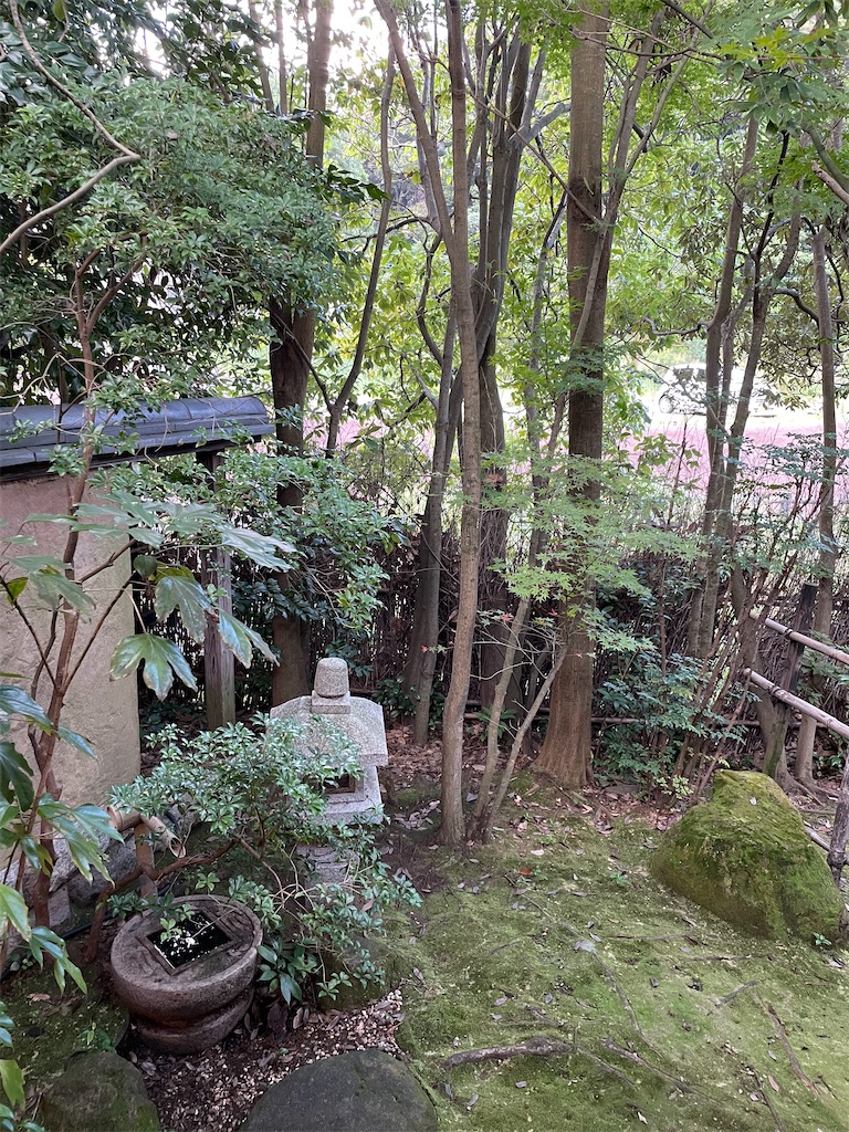 f:id:tsukky8832534:20230909005405j:image