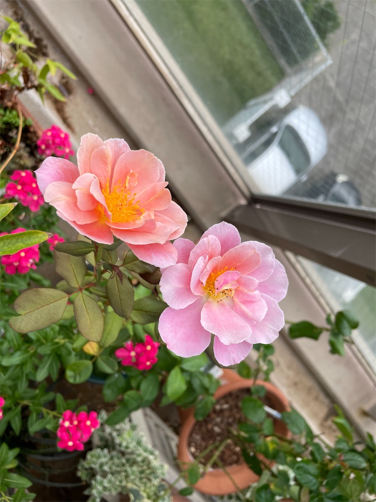 f:id:tsukky8832534:20230923002306j:image