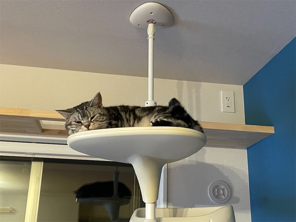 f:id:tsukky8832534:20231006030331j:image f:id:tsukky8832534:20231006030331j:image