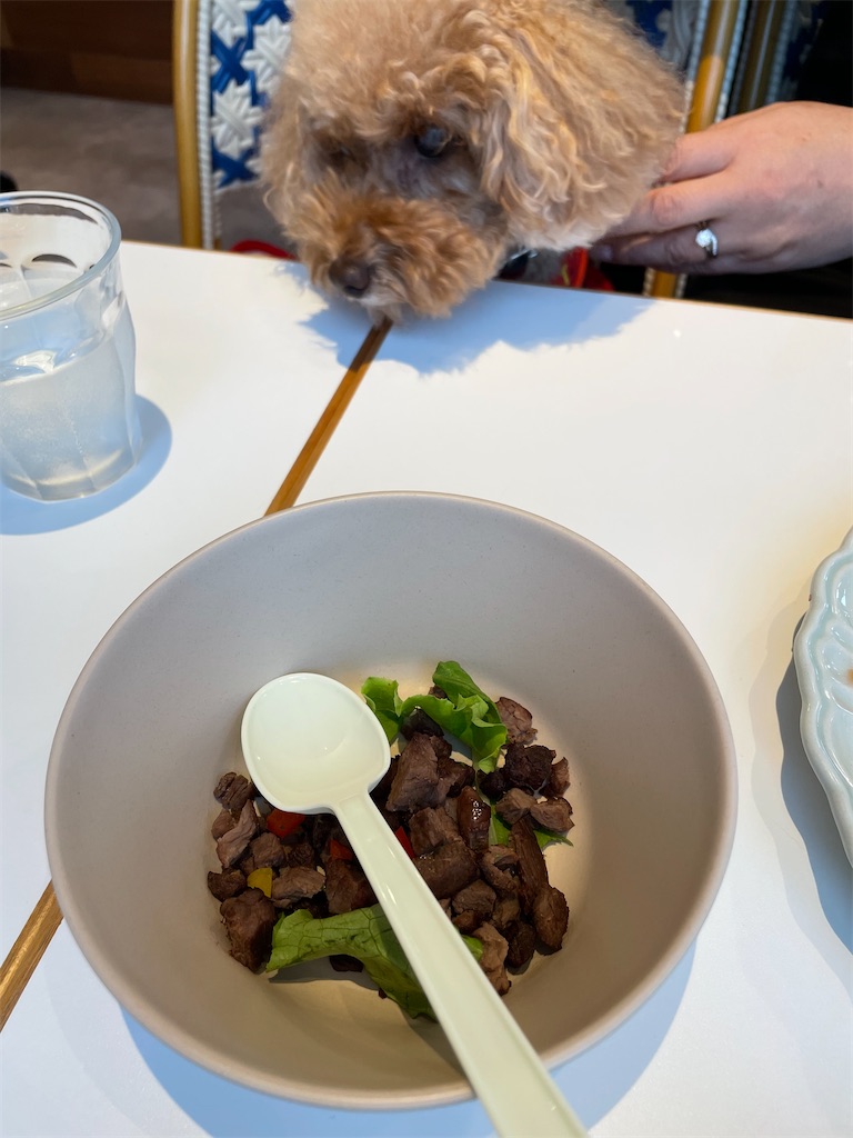 f:id:tsukky8832534:20231015225737j:image