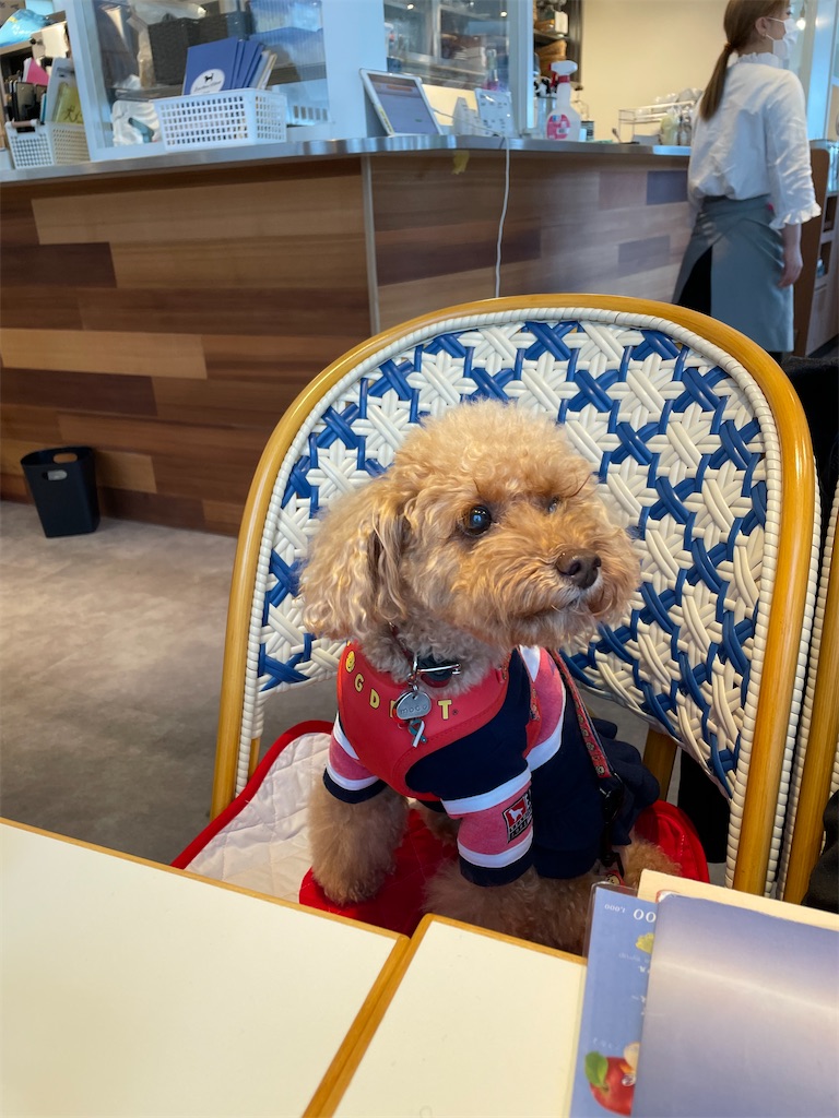 f:id:tsukky8832534:20231015225745j:image