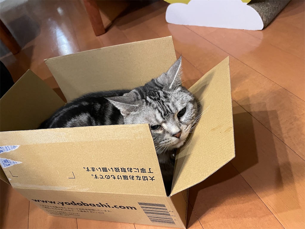 f:id:tsukky8832534:20231130232846j:image f:id:tsukky8832534:20231130232846j:image